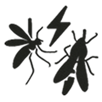 icon1.pn g